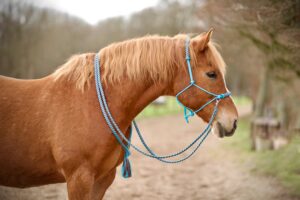 Riverside Touwhalsters