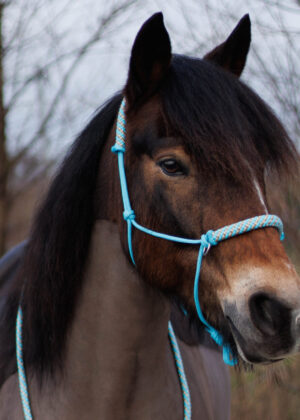 Voordeelset SandyShore