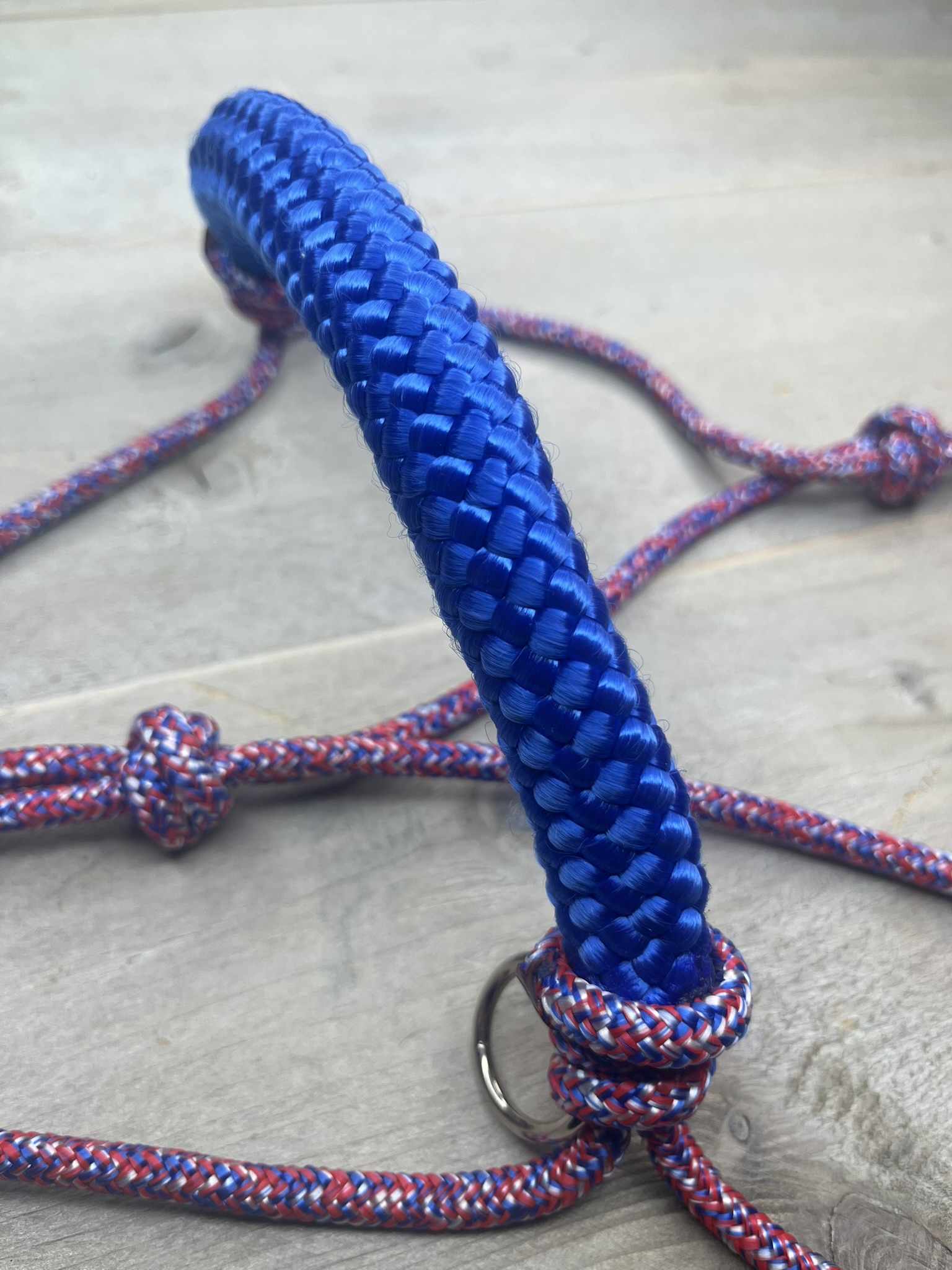 Electric Blue Touwhalster