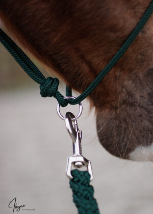 basic longeerhalster/beweegbare ring