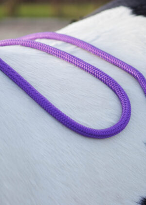 leadrope 12 feet