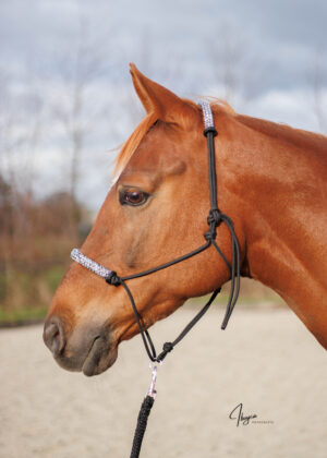 Luxe Longeertouwhalster/beweegbare ring