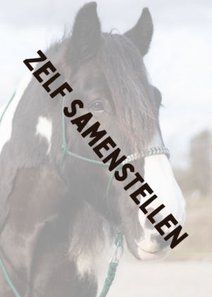 Touwhalster visgraat neusstuk - Zelf samen stellen