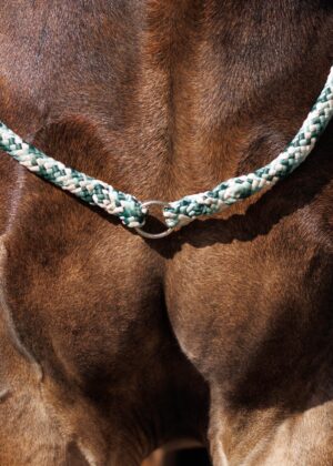 Neckropes