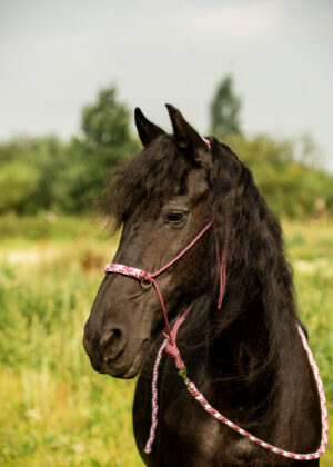 Halstertouwen en Leadropes